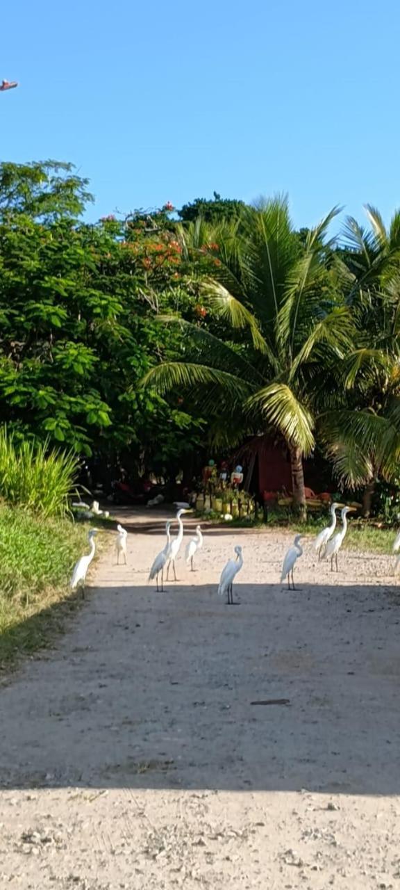 Сasa de vacaciones Casa Da Lagoa